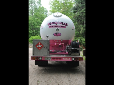 Ciardelli Pink Back