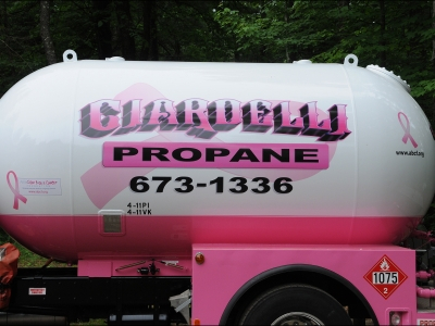 Ciardelli Pink Side